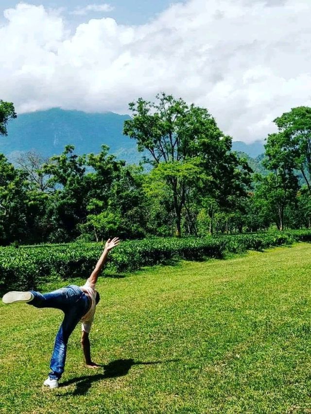 Spring outing into the Tea Farm 🌼