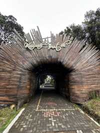 Attractions to visit in White Crater