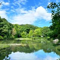 額田山展望台 | 城市繁華中的靜謐