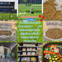 ท่องเที่ยวเชิงเกษตร : ข้าวจาปอนิกา 🌾