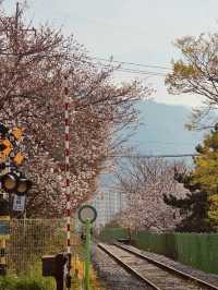 A Nostalgic Walk Through a Scenic Railway Park!