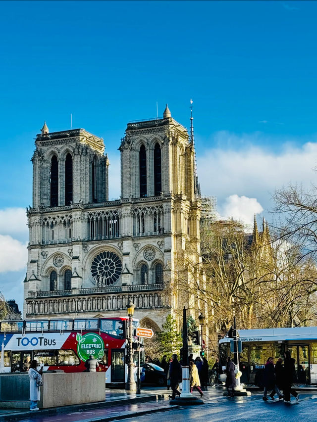 🌊 Seine River – The Heart of Paris! 🇫🇷