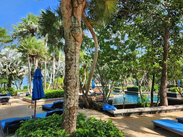 [🇹🇭プーケット] マリオットマイカオビーチプーケット：広々とした客室とプールで家族旅行にぴったりなリゾート