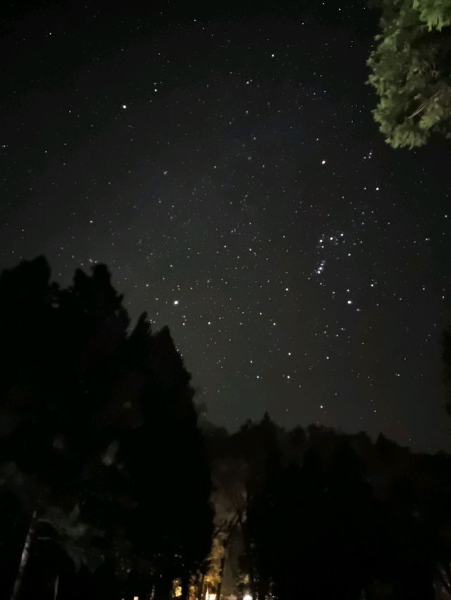 Yosemite: A Year-Round Wonderland, Day and Night!