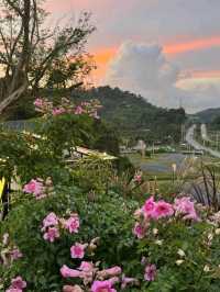 #DE RICHEST ดี ริชเชท ทุ่งสง