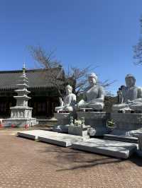 【韓国/大邱】日本人のプロが選んだ絶景30選のうちの一つ！