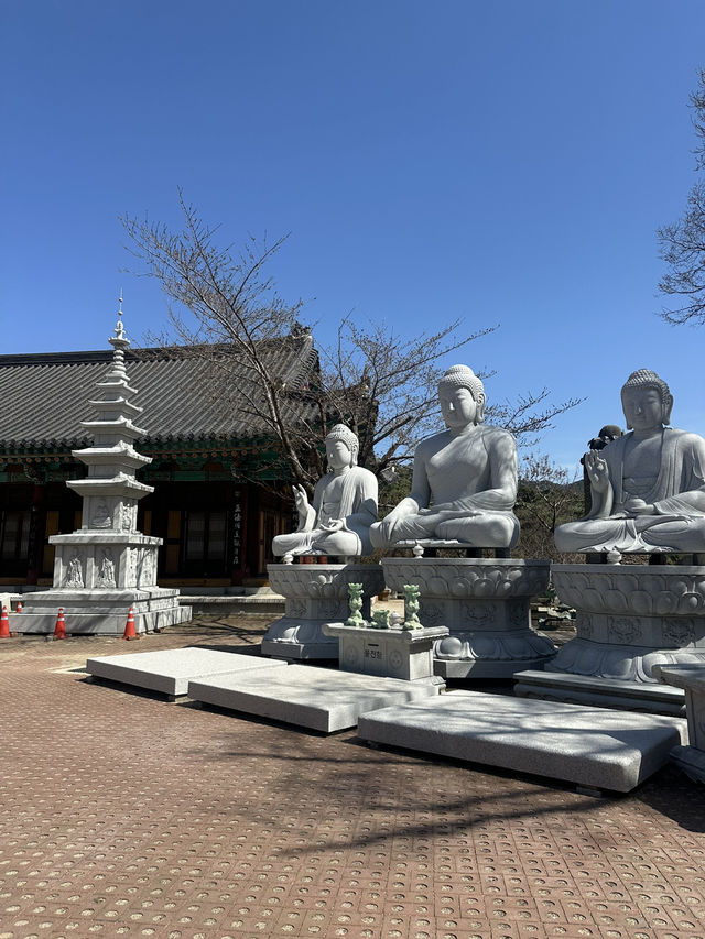 【韓国/大邱】日本人のプロが選んだ絶景30選のうちの一つ！