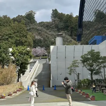 九州國立博物館(Kyushu National Museum)