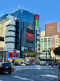 🏙️ 시부야 스크램블, 쇼핑과 핫플의 중심지!
