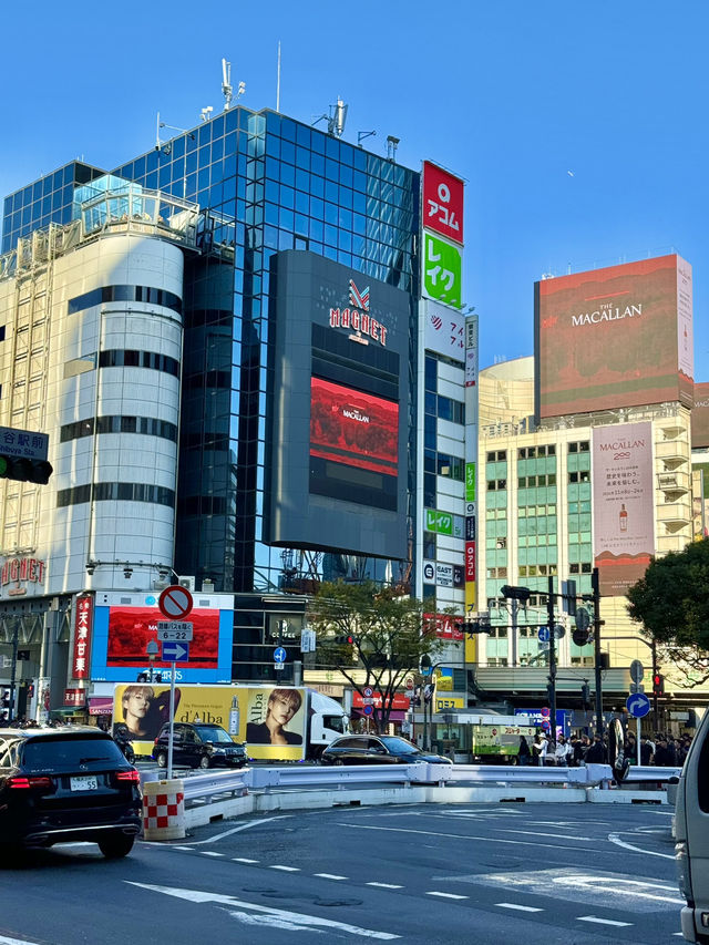 🏙️ 시부야 스크램블, 쇼핑과 핫플의 중심지!