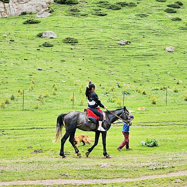 알틴아라샨에서 해봐야 하는 승마체험 🐴