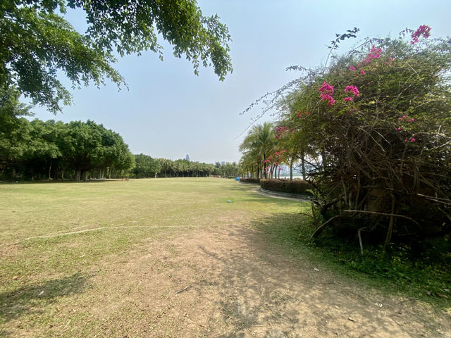🧎沉浸在綠意與海濱風光中🌟深圳灣公園🌳