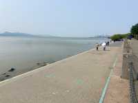 🧎沉浸在綠意與海濱風光中🌟深圳灣公園🌳