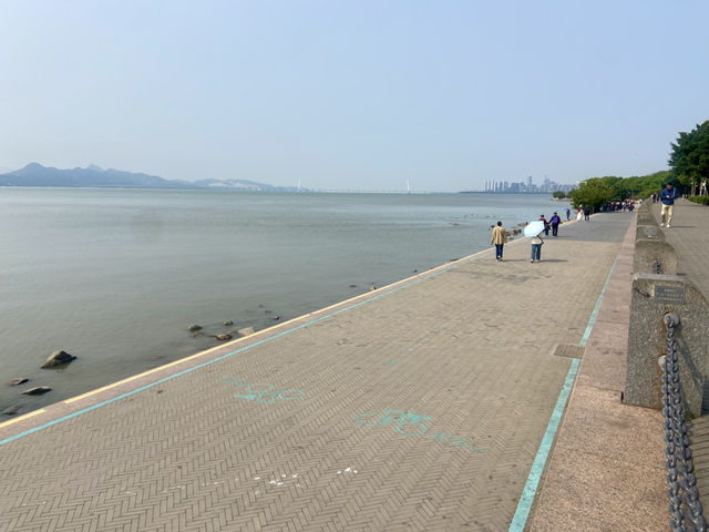 🧎沉浸在綠意與海濱風光中🌟深圳灣公園🌳