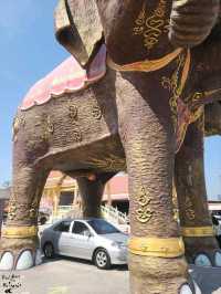 หนึ่งเดียวในไทย🚗 ขับรถลอดท้องช้าง🐘