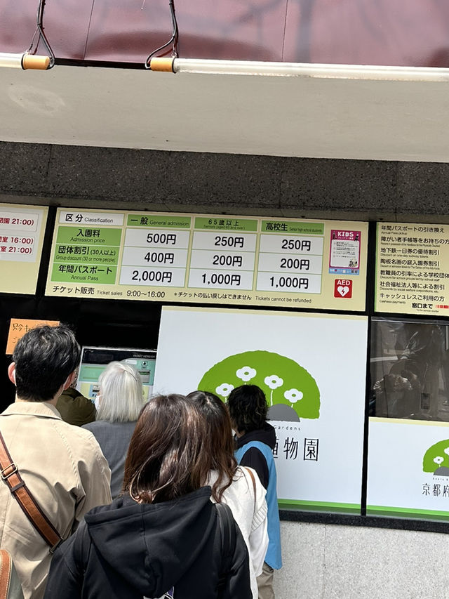 【京都】綺麗なお花に癒される子どもも嬉しいピクニックスポット