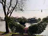 Buyeo Seodong Park – Blossoms Amongst Lotus Legacy