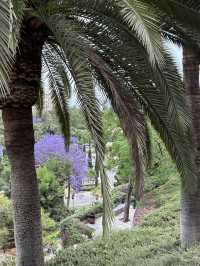 🇪🇸 Blooming Park in Malaga