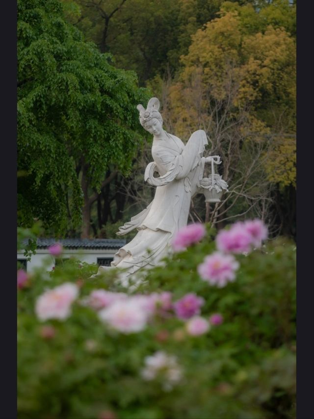 Shanghai Botanical Garden- A Urban Oasis