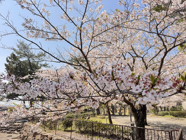 Sumaura Park มีUnseen เส้นทางวิ่งเทรลที่สวยงาม