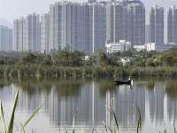 An Endless Number of Fish Ponds in Yuen Long 