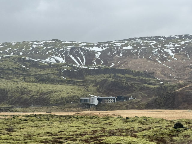 Aurora Dreams: An Icelandic Escape Chasing the light