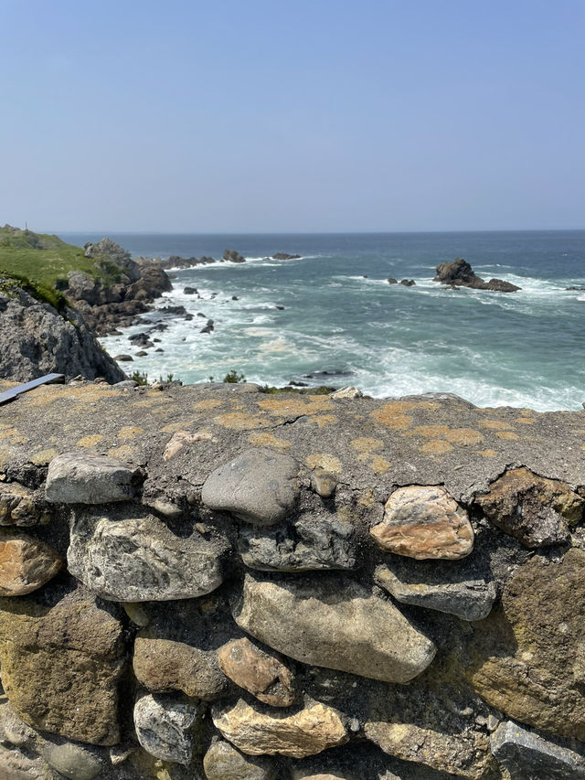 【青森× 葦毛崎展望台】美しい海岸線、激しい波、海の景色が見られます！