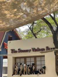 The Scenery Vintage Farm ราชบุรี 