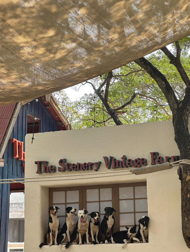 The Scenery Vintage Farm ราชบุรี 