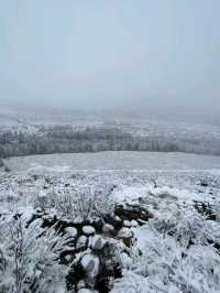 Snow-Kissed Hemu: A Hidden Gem in Xinjiang