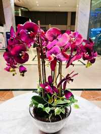 “Steps from Petaling Street, Miles from Ordinary – AnCasa Hotel KL”
