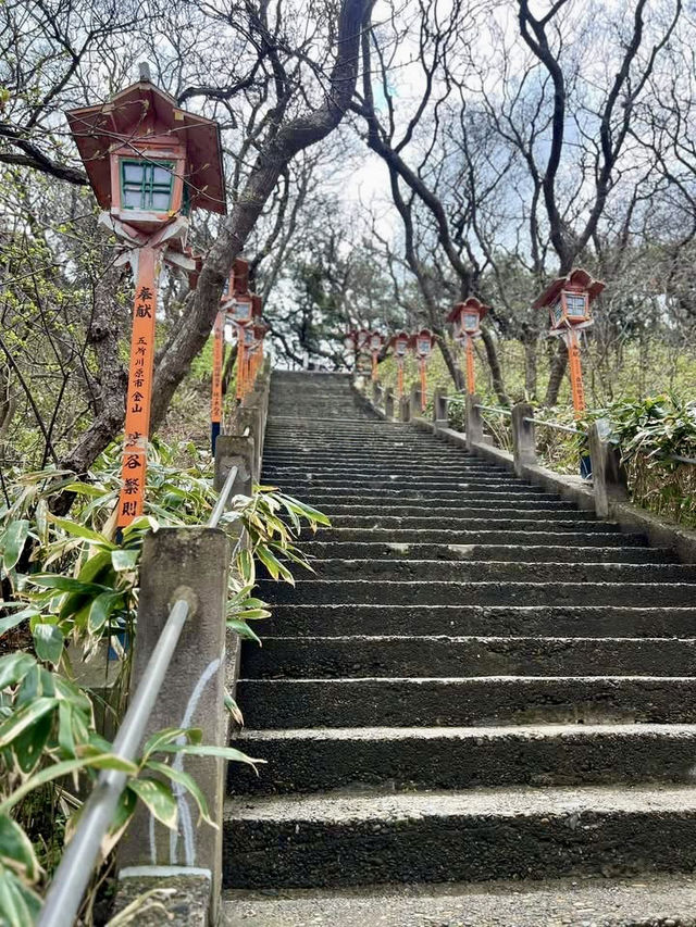 Foxes, Forests & a Thousand Gates — My Takayama Inari Shrine Stroll