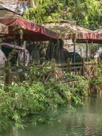 Time-Travelling Through Tea and Stone: Xin Chang Ancient Town, Chengdu