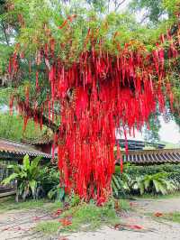😊👍🏻✨Instagrammable Scenic Landmark ◄Putuo Village✨Bodhi Sanctuary► [KULAI@JOHOR]