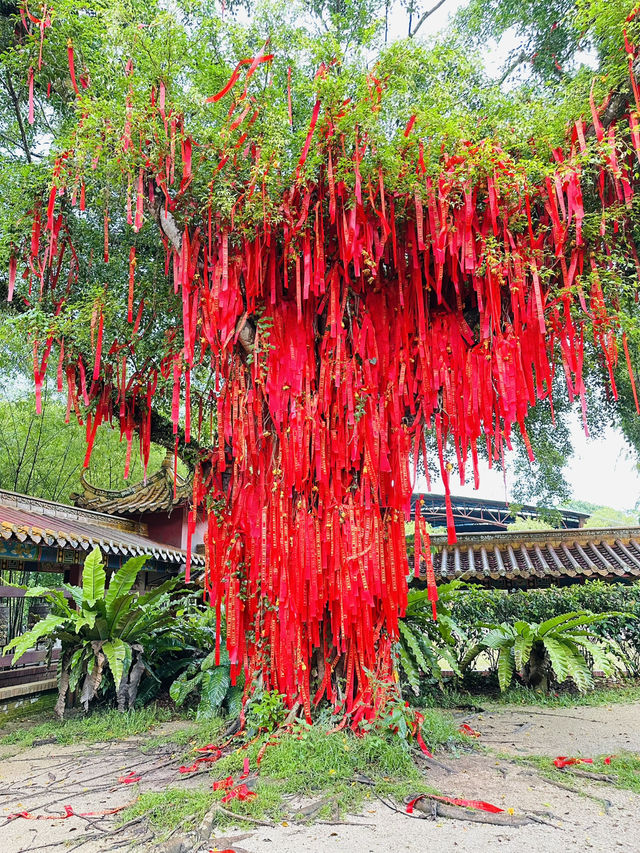😊👍🏻✨Instagrammable Scenic Landmark ◄Putuo Village✨Bodhi Sanctuary► [KULAI@JOHOR]
