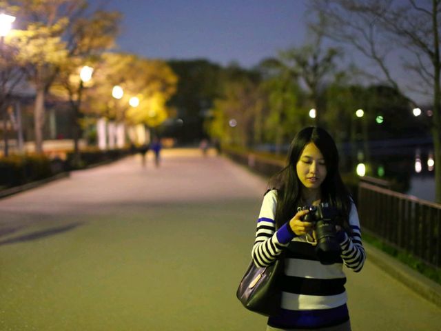 Cherry Blossom Dreams at Osaka Castle Park