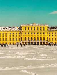From Klimt to Christmas Lights: Vienna’s Winter Charm in 72 Hours