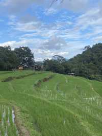 นาขั้นบันได บ้านปางมะโอเชียงใหม่