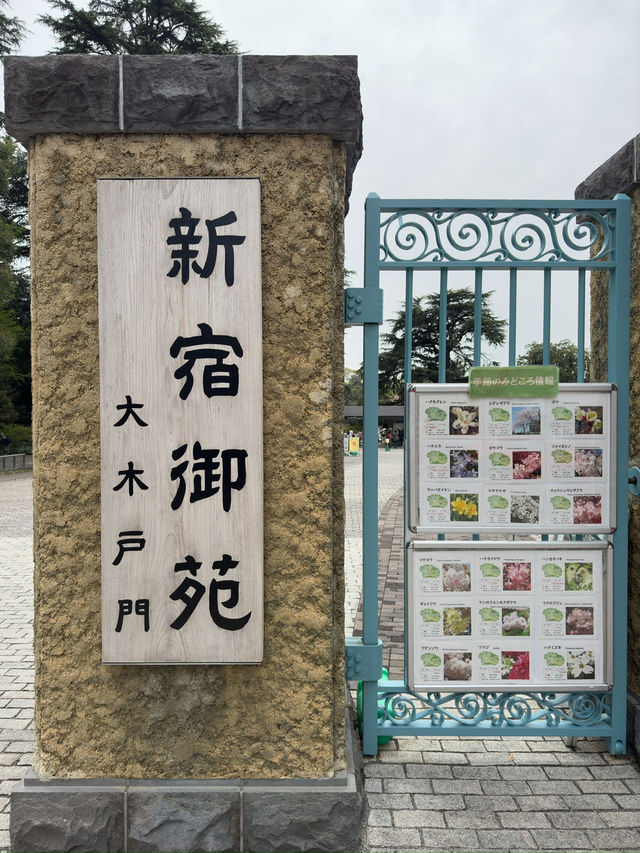 東京｜新宿御苑與江戶川平成庭園一日遊