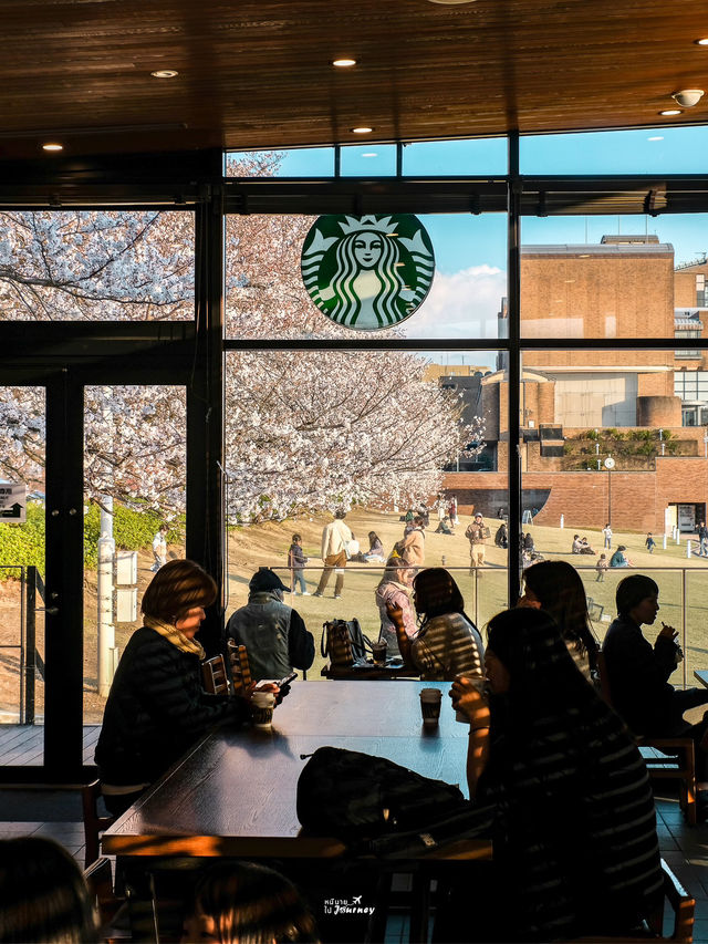 หนึ่งใน Starbucks ที่วิวสวยที่สุดเมืองโทยาม่า🌸🎌