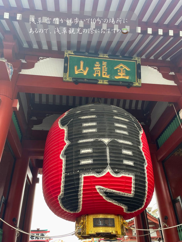 日本一濃い！？抹茶ジェラートが食べれる🍵浅草の抹茶アイス