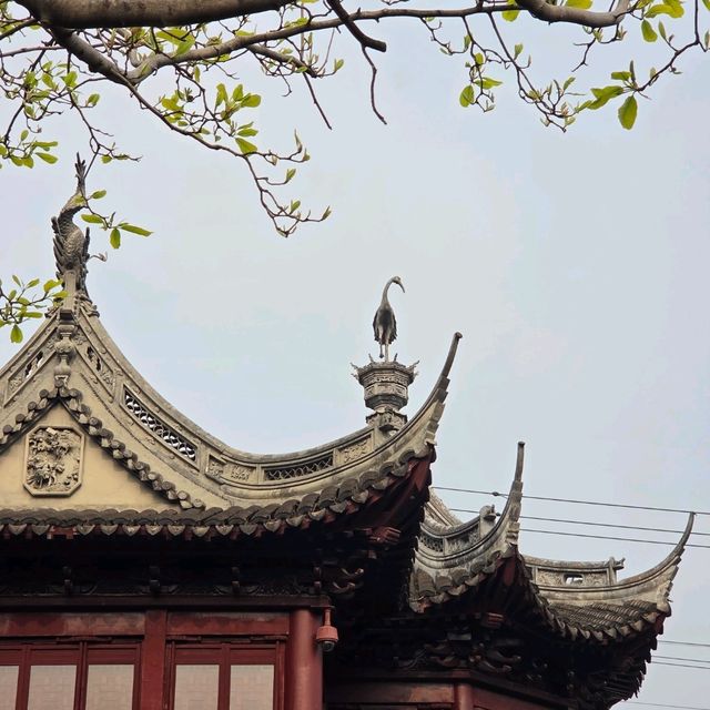 รีวิวสวนอี้หยวน (Yuyuan Garden) เซี่ยงไฮ้ 🌿🌸