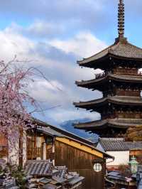 🌸 Kyoto's Ultimate 3-Day Cherry Blossom Chase Itinerary 🌸