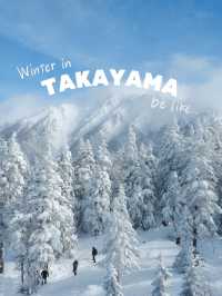 冬の高山❄️