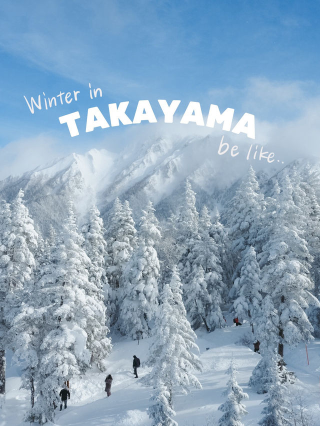 冬の高山❄️