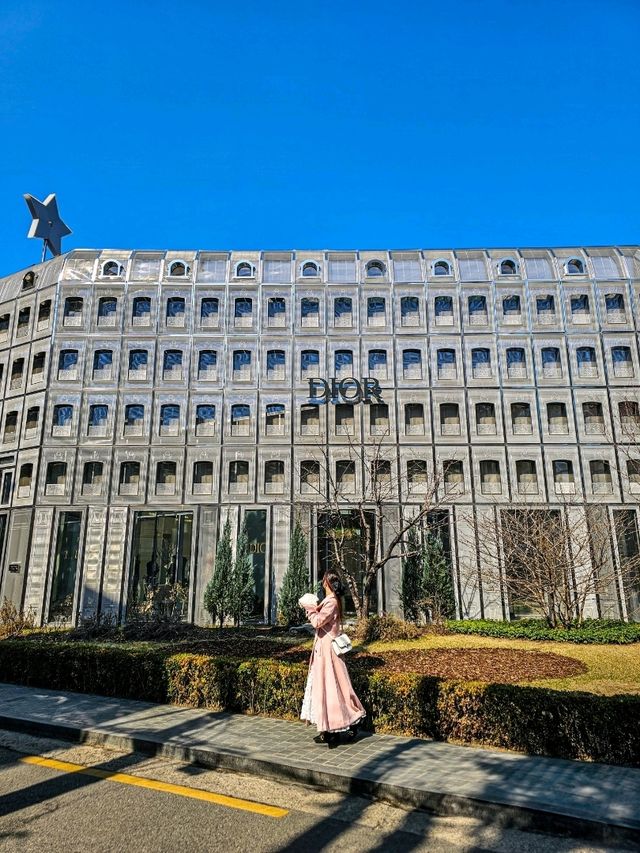 韓国行くならここ行って！