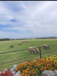 北海道•クラーク像