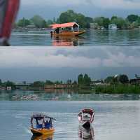 Kashmir - India 🇮🇳 ทริปแคชเมียร์แบบ 6 วัน 5 คืน