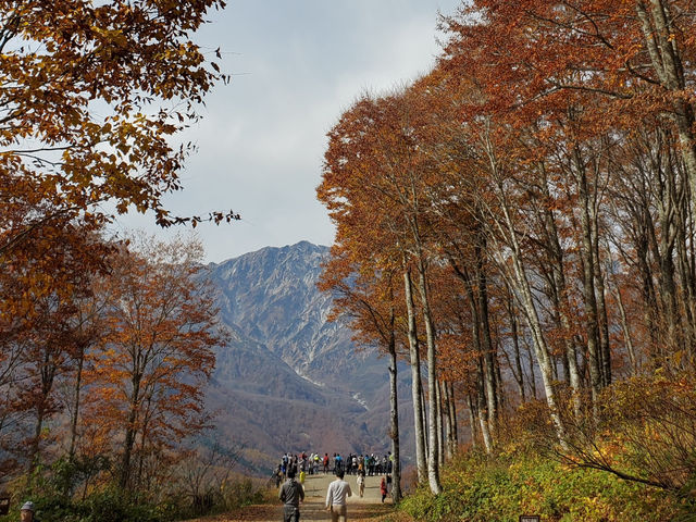 【白馬村】自然を堪能したいならここ行って！