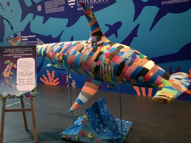#新加坡S.E.A Aquarium-新加坡聖淘沙島